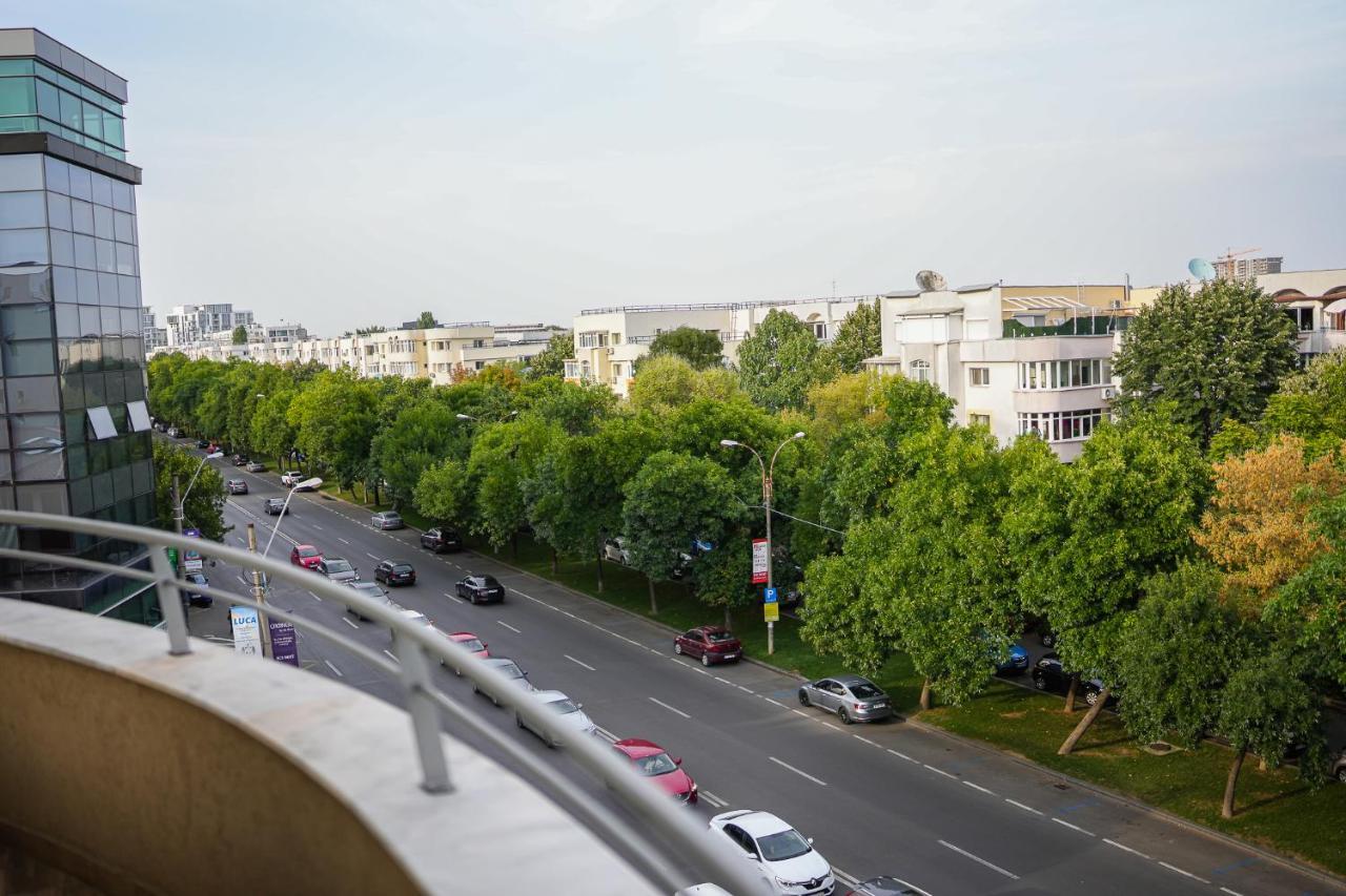 Penthouse With Huge Rooftop & Amazing City View Бухарест Екстер'єр фото